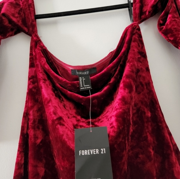 FOREVER 21 Velvet Dress - Picture 2 of 6